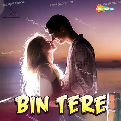 Bin Tere - Parthasakha Daskabi album cover 