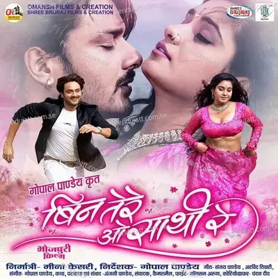 Dil Mein Aake Dildar - Udit Narayan album cover 