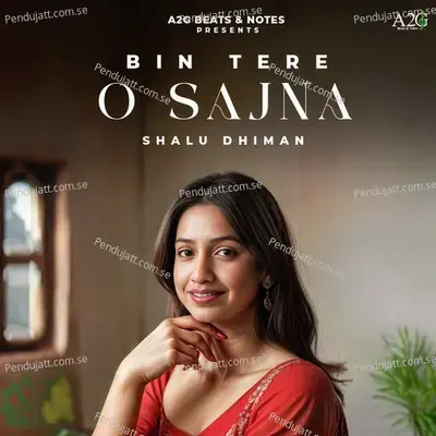 Bin Tere O Sajna - Shalu Dhiman album cover 