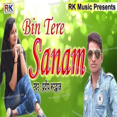 Bin Tere Sanam - Pradeep Bhardwaj album cover 