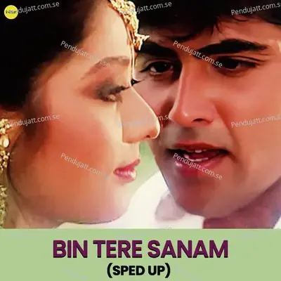 Bin Tere Sanam (Sped Up) - Udit Narayan