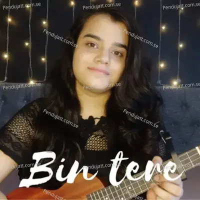 Bin Tere - KindleHaze album cover 