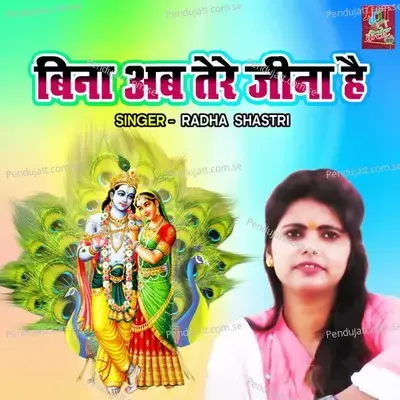 Bina Ab Tere Jina Hai - Radha Shastri album cover 