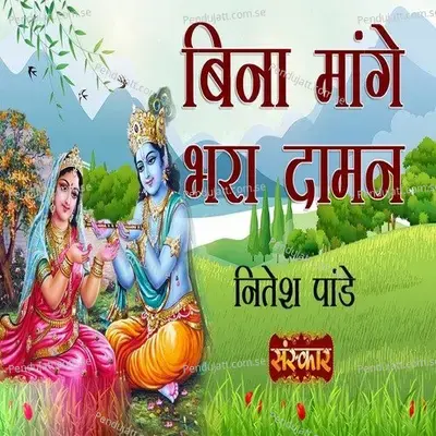 Bina Maange Bhara Daaman - Nitesh Pandey album cover 