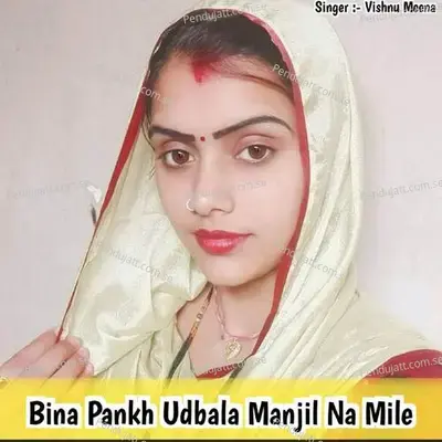 Bina Pankh Udbala Manjil Na Mile - Vishnu Meena album cover 