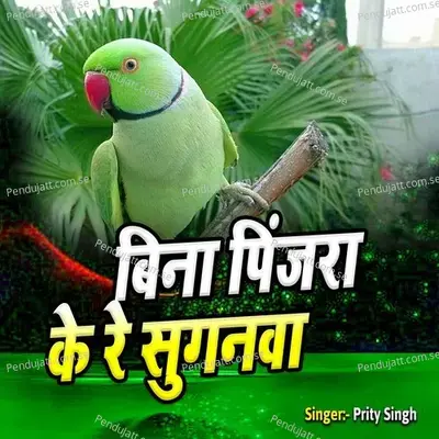 Bina Pinjara Ke Re Suganava - Preeti Singh album cover 