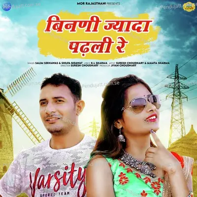 Binani Jyada Padali Re - Salim Shekhawas album cover 