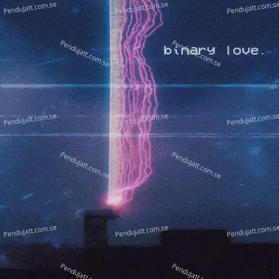 Binary Love - nithin. cover album