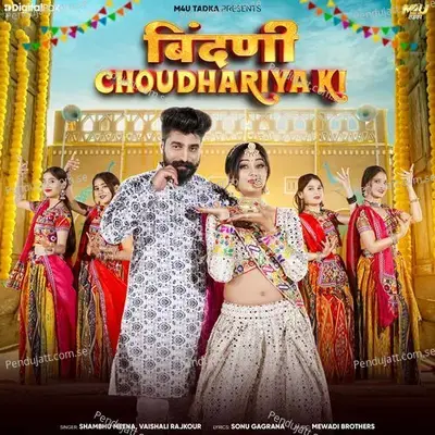 Bindani Choudhariya Ki - Vaishali Rajkour album cover 