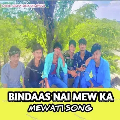 Bindass Nai Mew Ka Chhora - Aslam Jatoliya album cover 