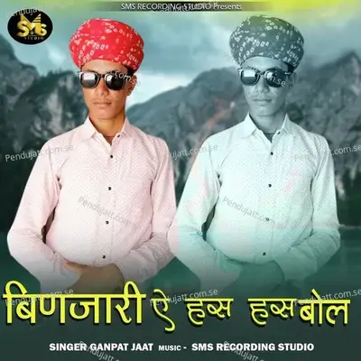 Binjari E Hans Hans Bol - Ganpat Jaat Punasar cover album