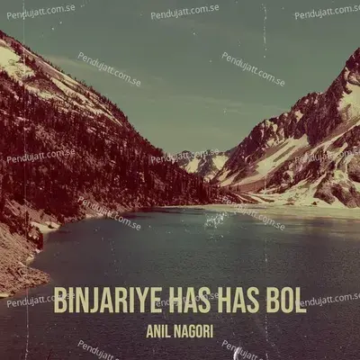 Binjariye Has Has Bol - Anil Nagori album cover 