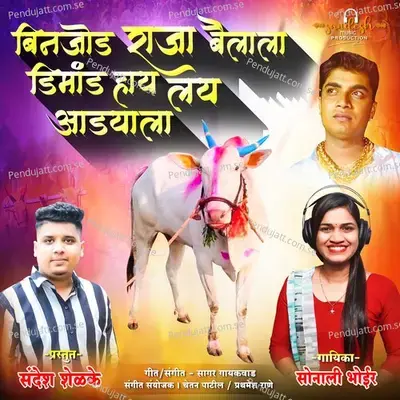 Binjod Raja Baila La Dimand Hay Lay Addya La - Sonali Bhoir album cover 