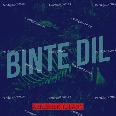 Binte Dil - Abhishek Telang album cover 