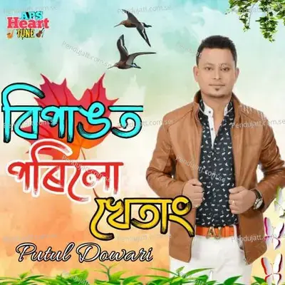 Bipangot Porilo Khetang - Putul Dowari album cover 