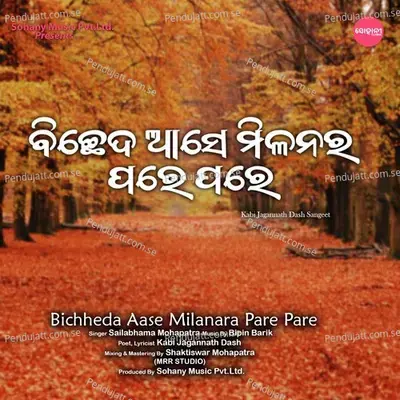 Bipin Barik - Sailabhama Mohapatra album cover 