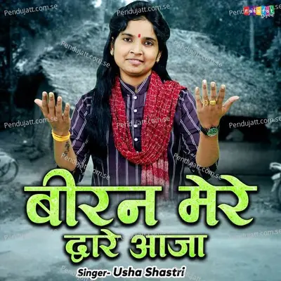 Biran Mere Duware Aaja - Usha Shastri album cover 