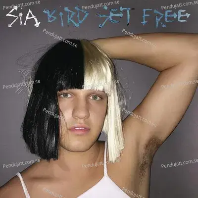 Bird Set Free - Sia