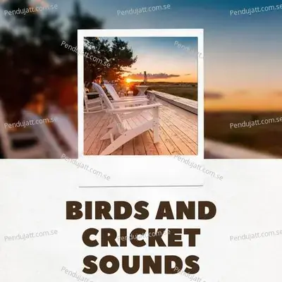 Birds And Cricket Sounds - Lakhan Hire