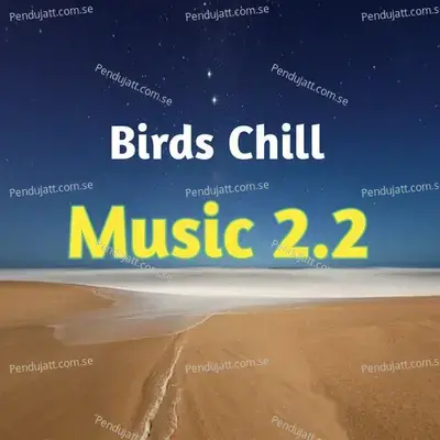Birds Chill Music 2 2 - Lakhan Hire