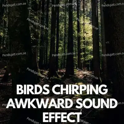 Birds Chirping Awkward Sound Effect - Lakhan Hire album cover 