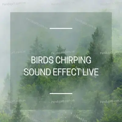 Birds Chirping Sound Effect Live - Lakhan Hire album cover 