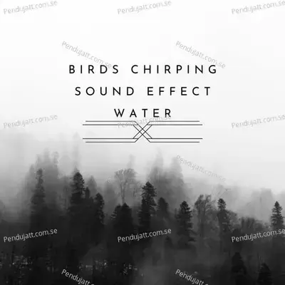 Birds Chirping Sound Effect Water - Lakhan Hire album cover 
