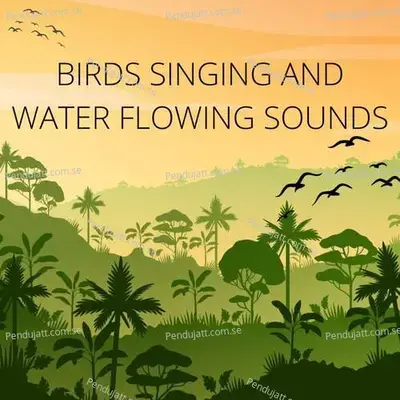 Birds Singing And Water Flowing Sounds - Lakhan Hire album cover 