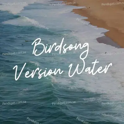 Birdsong Version Water - Lakhan Hire