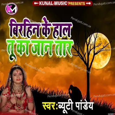 Birhin Ke Hal Tu Ka Jan Tar - Beauty Pandey album cover 