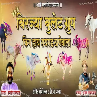 Birjya Bullet Group King Hay Raigad Thanewala - Ajay Gaikwad album cover 