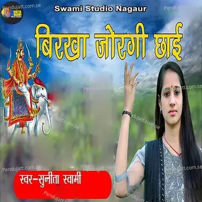 Birkha Jorgi Chai - Sunita Swami album cover 