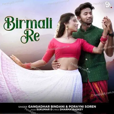 Birmali Re - Gangadhar Bindani album cover 