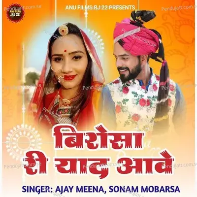 Birosa Ri Yaad Aave - Ajay Meena album cover 