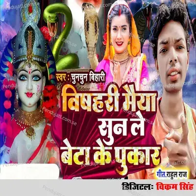 Bishari Maiya Sun Le Beta Ke Pukar - Chunchun Bihari album cover 