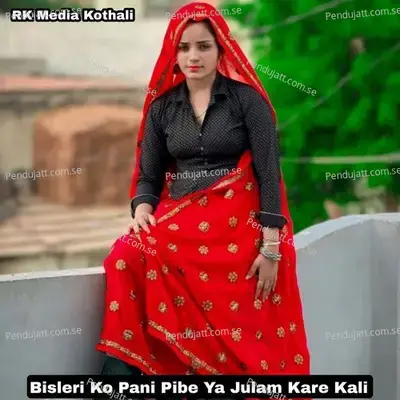 Bisleri Ko Pani Pibe Ya Julam Kare Kali - Mukesh Thikariya album cover 