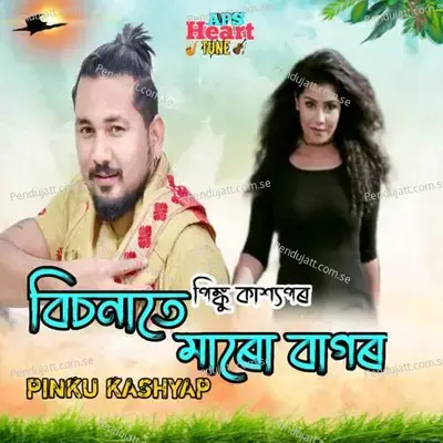 Bisonate Maru Bagor - Pinku Kashyap album cover 