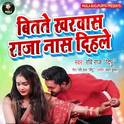 Bitat Kharwas Raja Nash Dihle - Ravi Raj Deepu album cover 