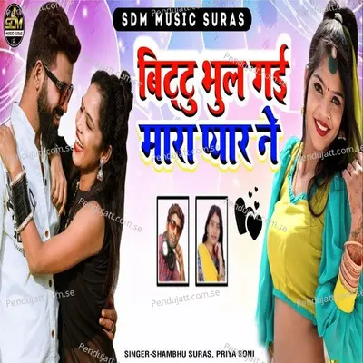 Bittu Bhul Gai Mara Pyar Ne - Shambhu Suras album cover 