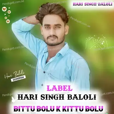 Bittu Bolu K Kittu Bolu - Hari Singh Baloli album cover 