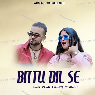 Bittu Dil Se - Payal Asind album cover 