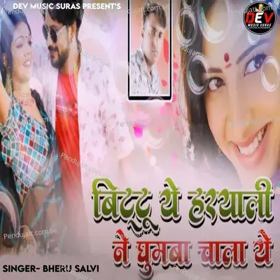 Bittu Ye Haryali Ne Gumba Chala Ye - Bheru Salvi album cover 