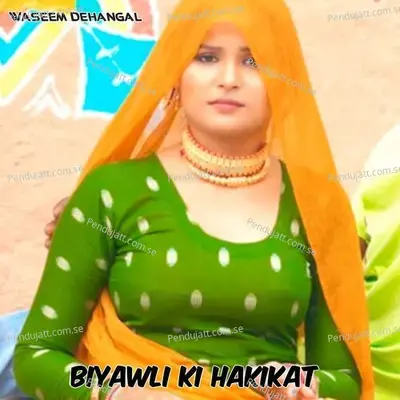 Biyawli Ki Hakikat - Waseem Dehangal album cover 