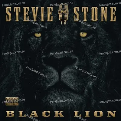 Set In Stone - Stevie Stone album cover 