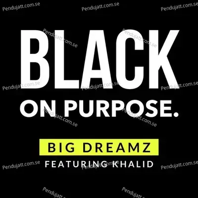 Black On Purpose - Big Dreamz album cover 