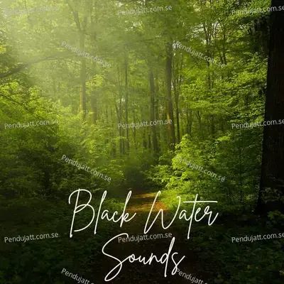 Black Water Sounds - Lakhan Hire album cover 