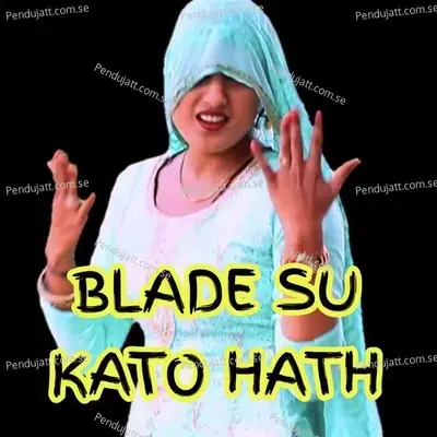 Blade Su Kato Hath - Aslam Singer Mewati album cover 