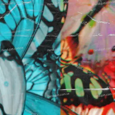 Blame - Baby John album cover 