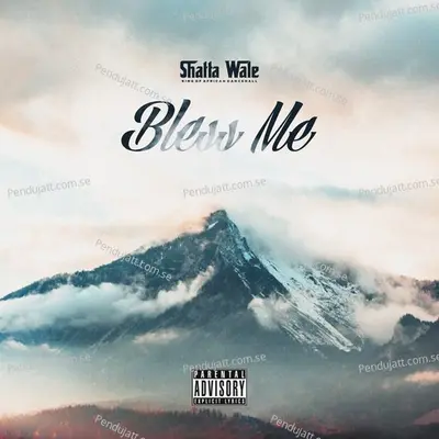 Bless Me - Shatta Wale album cover 
