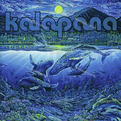 You'Re In Love - Kalapana album cover 